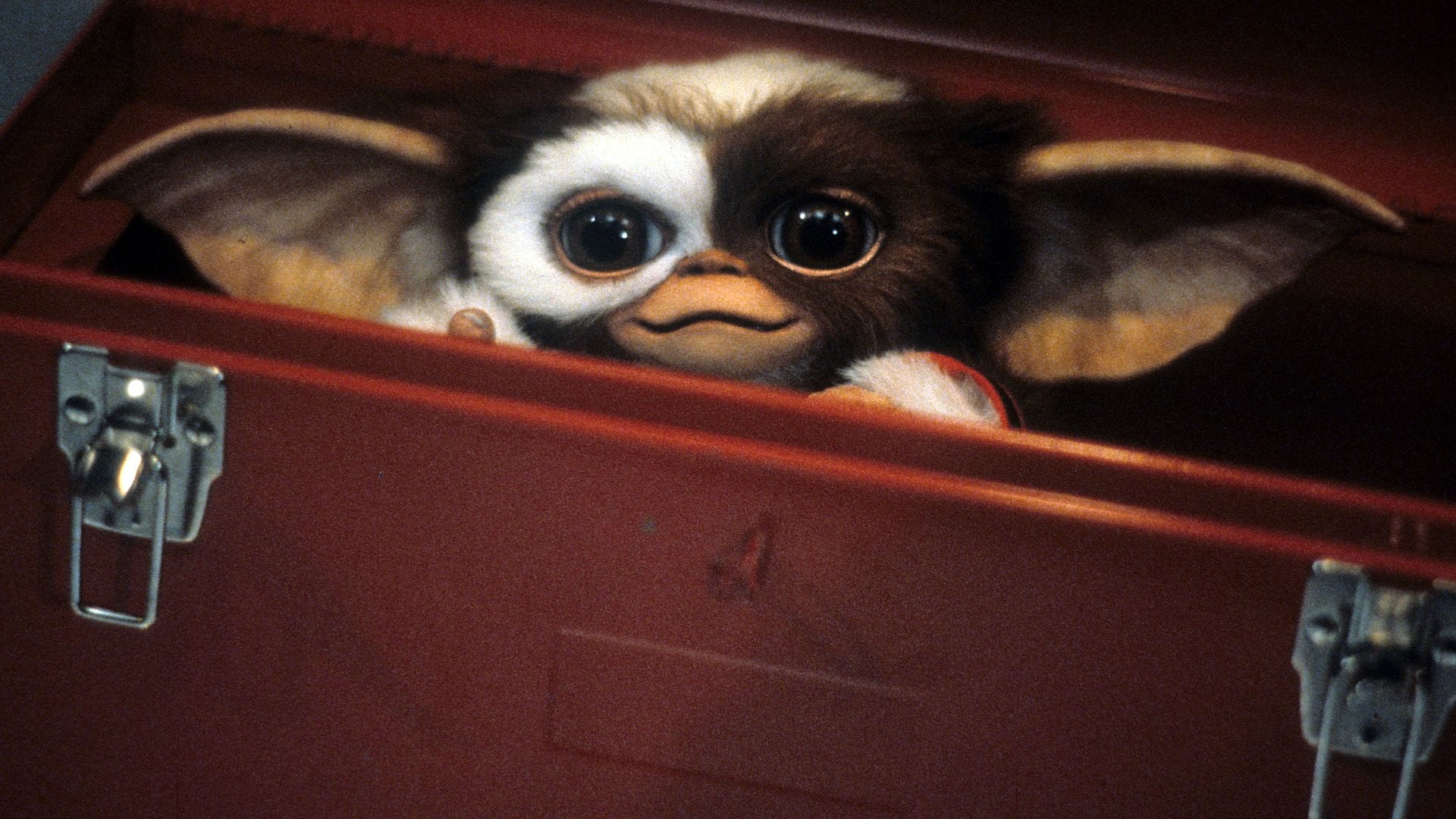 Крис Коламбус снимет новых «Гремлинов»