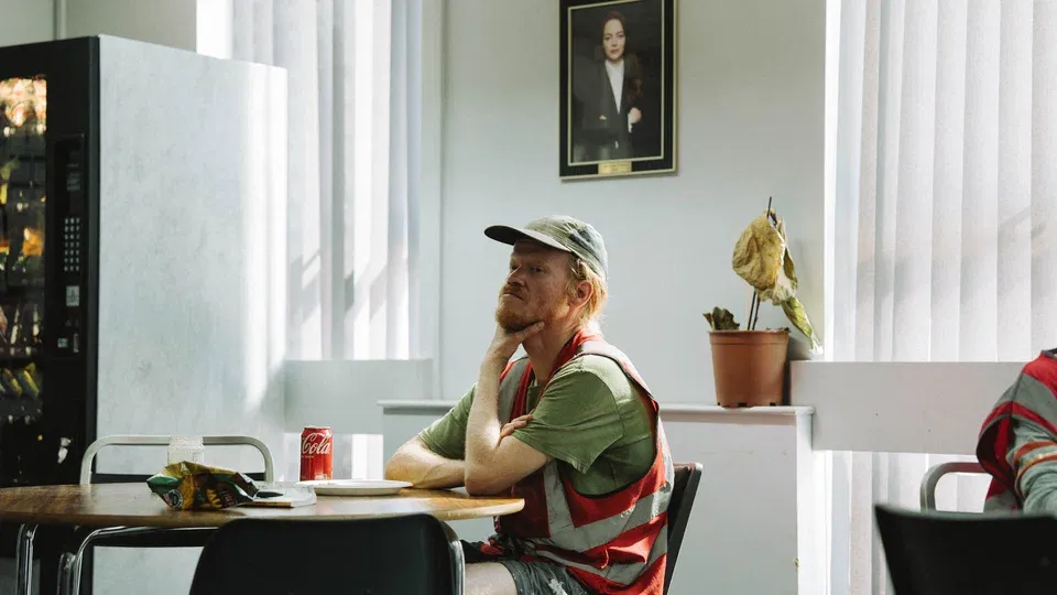 «Бугония» (2025)