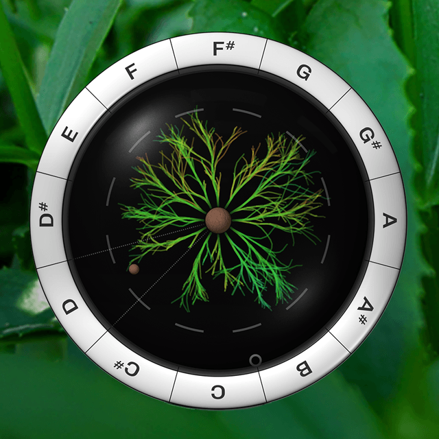 Плагин Sonic Charge Synplant