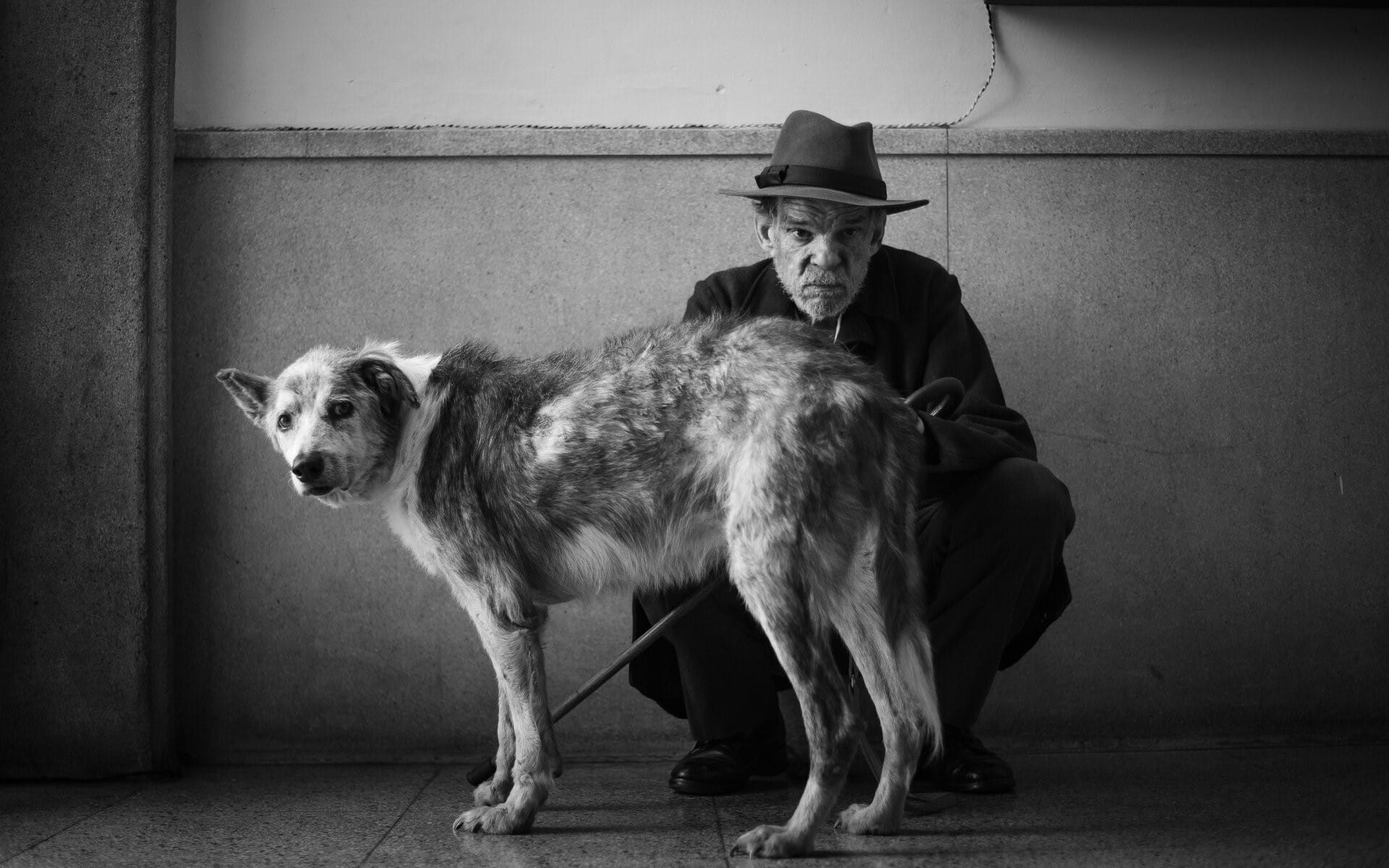 Кадр из фильма «Посторонний»